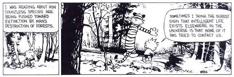 Image result for calvin and hobbes intelligent life