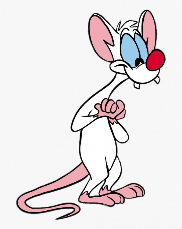 Pink And The Brain Pinky, HD Png Download , Transparent Png Image ...