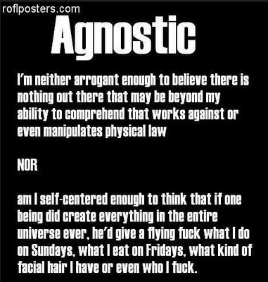 Image result for agnostic quotes
