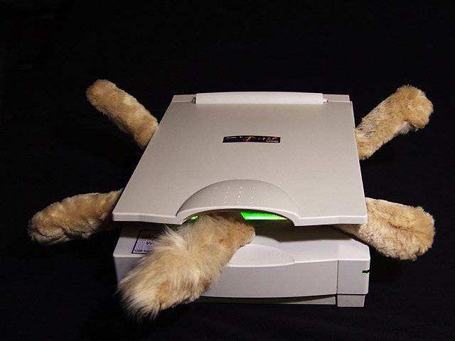 cat-scan.jpg&f=1&nofb=1