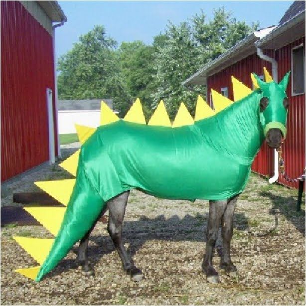 Image result for horse dinosaur