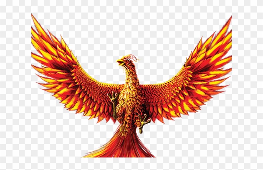 49-494072_phoenix-png-transparent-png.pn