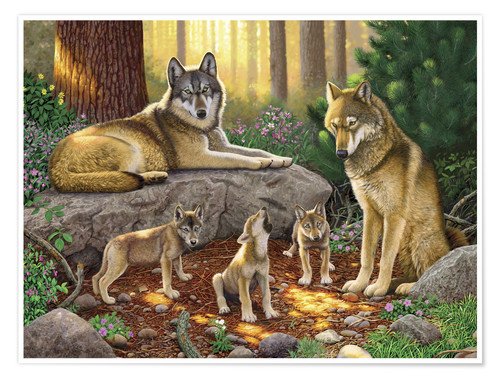 A family of wolves Posters and Prints | Posterlounge.com