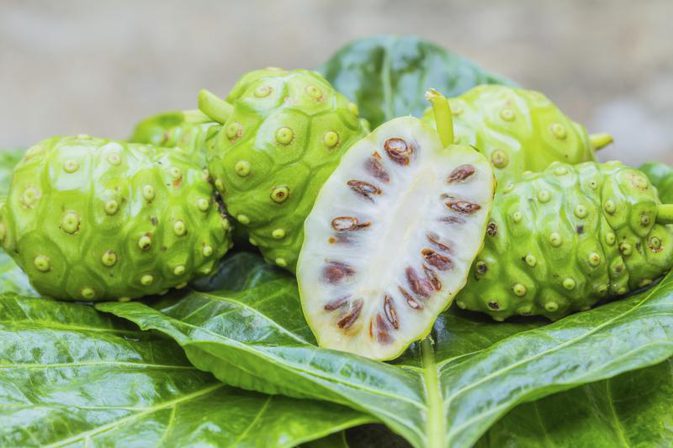 Image result for noni fruit