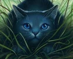 Thunderclan - Warriors Fanclan