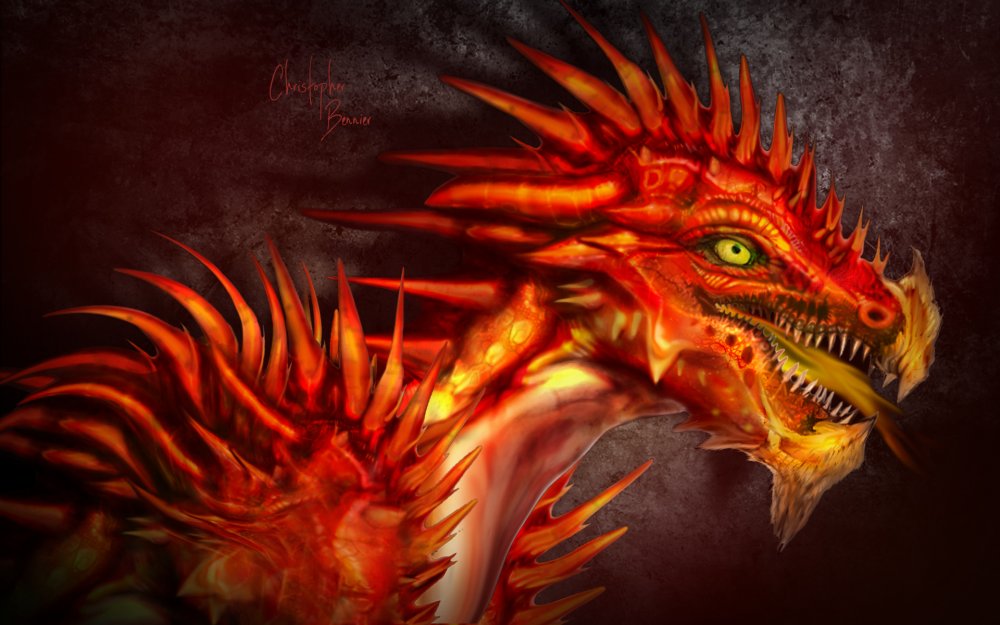 Dragon HD Wallpaper | Background Image | 1920x1200 | ID:497441 ...