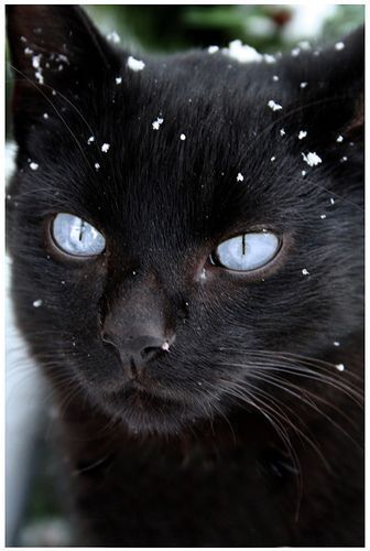 4ae389d123b004f8d1d7d39db37fec9c--beauti
