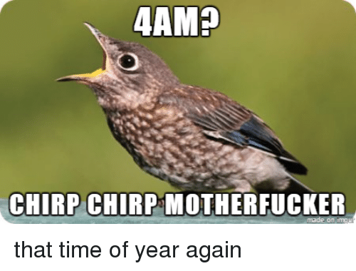 4amd-chirp-chirp-motherfucker-that-time-