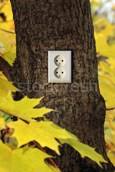 501585_stock-photo-green-energy.jpg