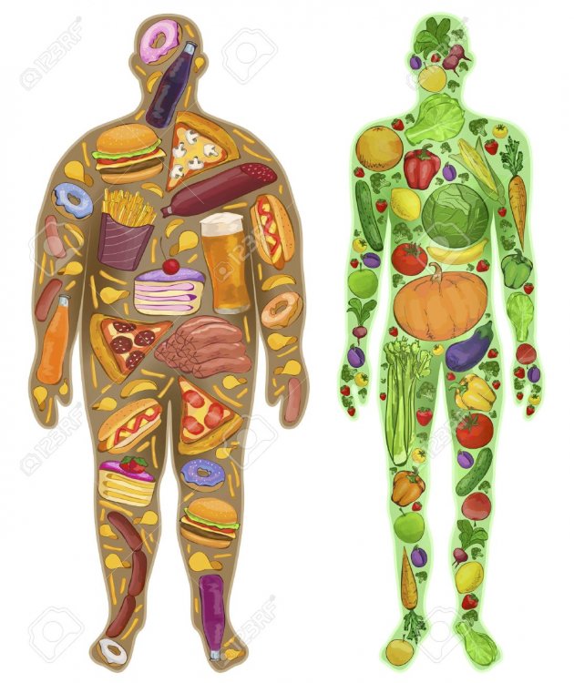 Image result for Healthy and unhealthy body