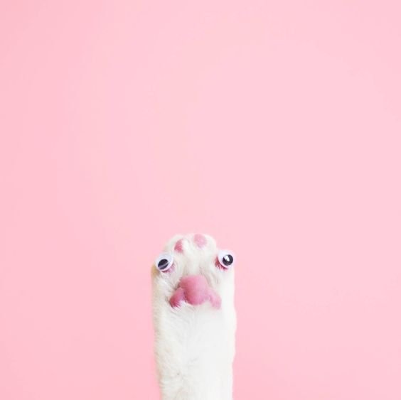 53fd8c7bb15747565b308afc1d07af16.jpg