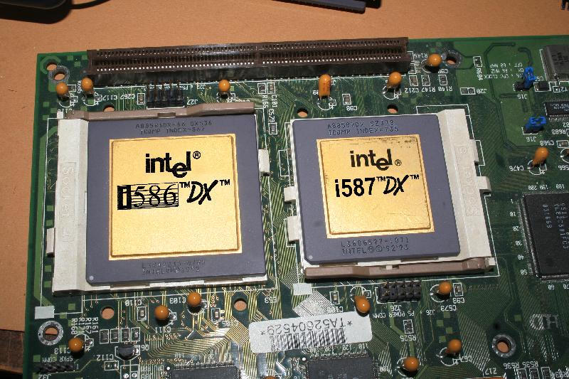586.jpg