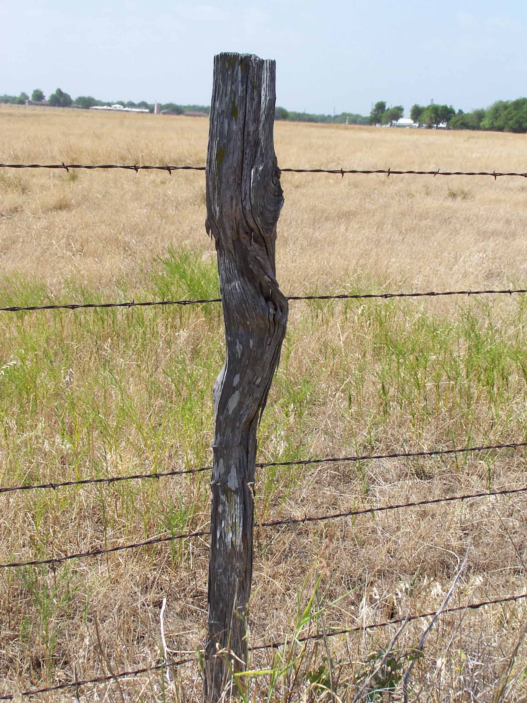 Fence%20post.jpg