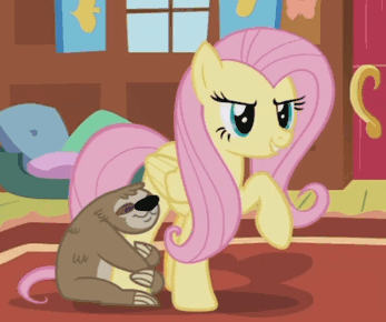 1425474__safe_screencap_fluttershy_fluttershy+leans+in_spoiler-colon-s07e05_animated_cute_lola+the+sloth_shyabetes_sloth_spread+wings_talking_wings.gif