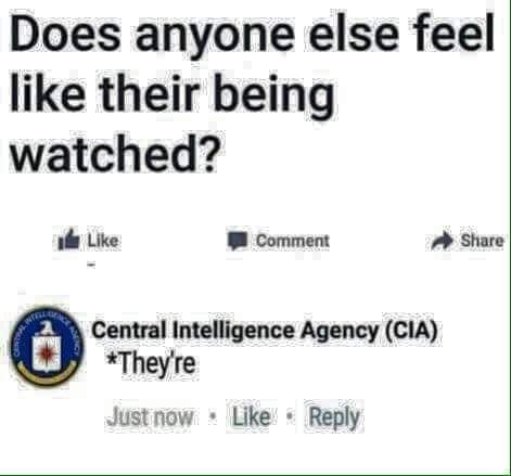 597efd76e49da.jpeg