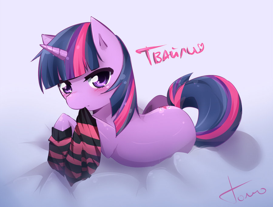 188496+-+artist+tomoe-chi+socks+twilight