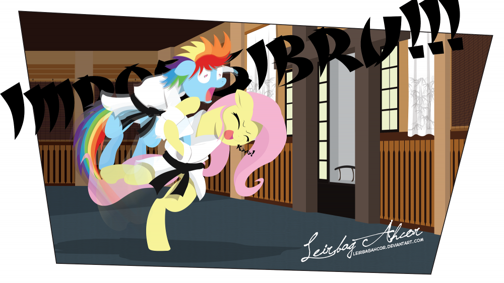Image result for MLP Judo