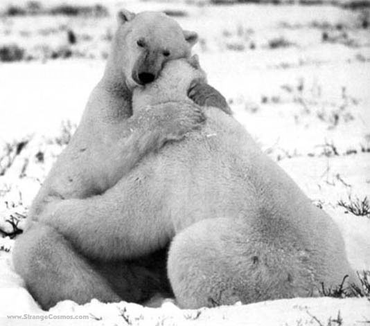 bearhug+%281%29.jpg