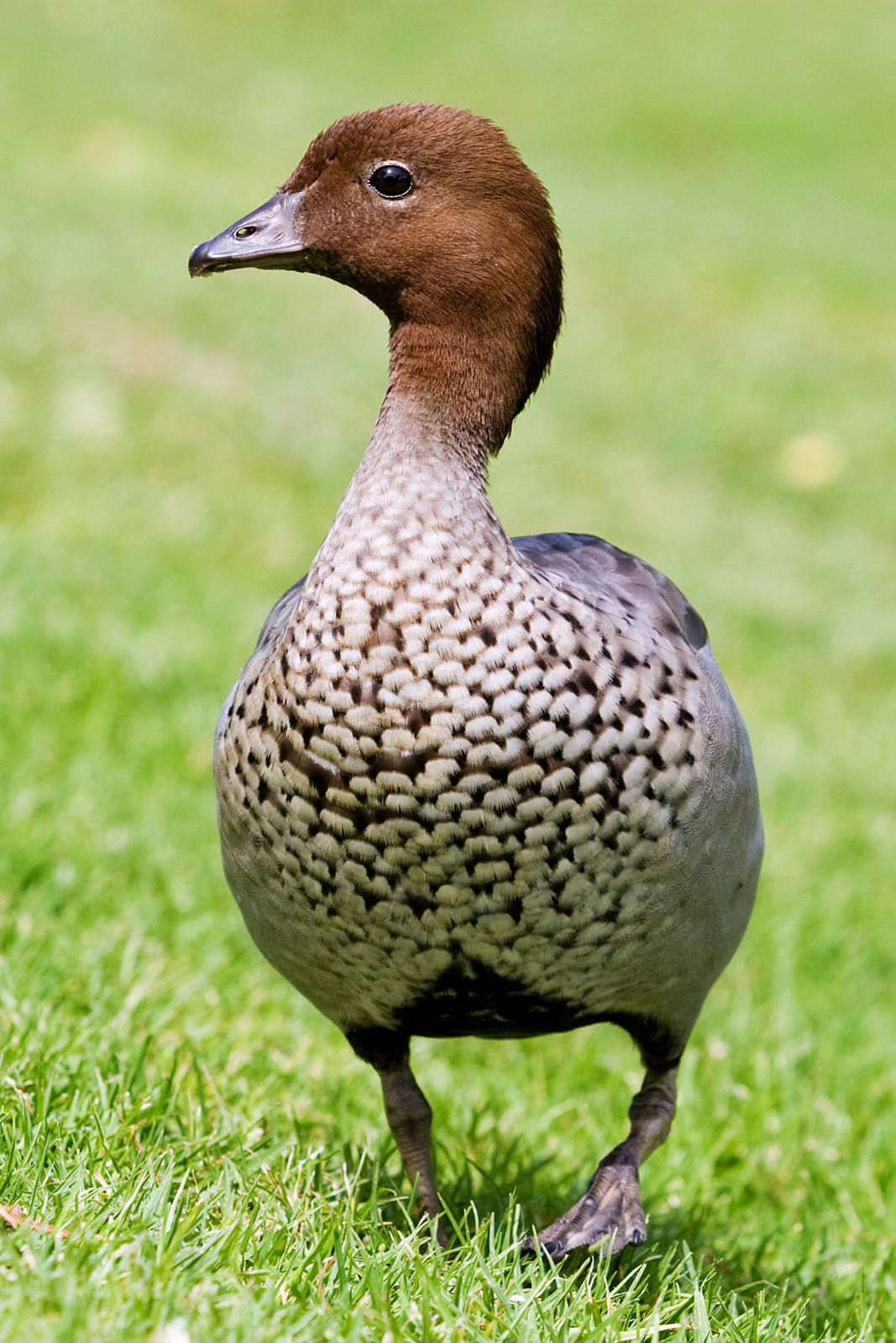 5KEET6Q.jpg