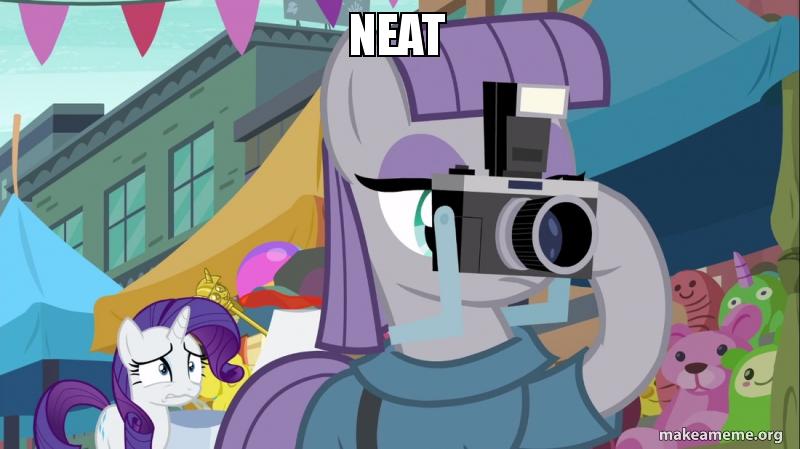 1181820__safe_maud+pie_rarity_the+gift+of+the+maud+pie_camera_futurama_image+macro_meme_neat_scepter_twilight+scepter.jpg