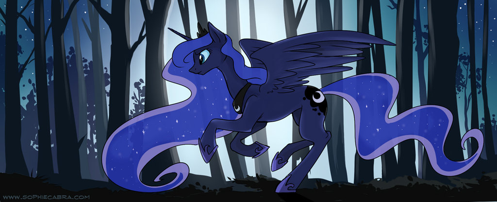 my-little-pony-%D1%84%D1%8D%D0%BD%D0%B4%