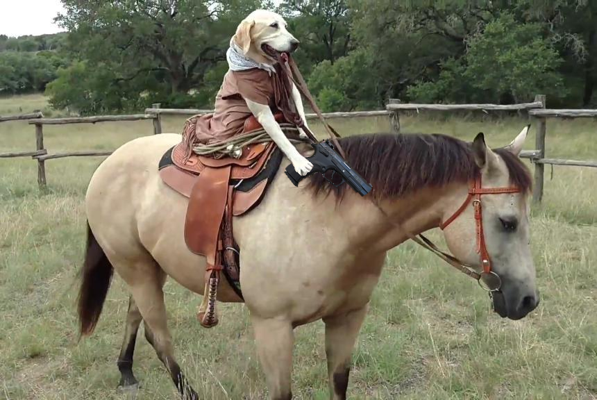 580EF60B2F5E79CD0CE95BB5A2D64FEED0DA9EBB