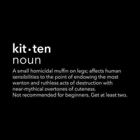 5f539c521ea92f2178abf75a216a7f68.jpg