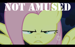 FluttershyIsNotAmused.png?t=1298743257