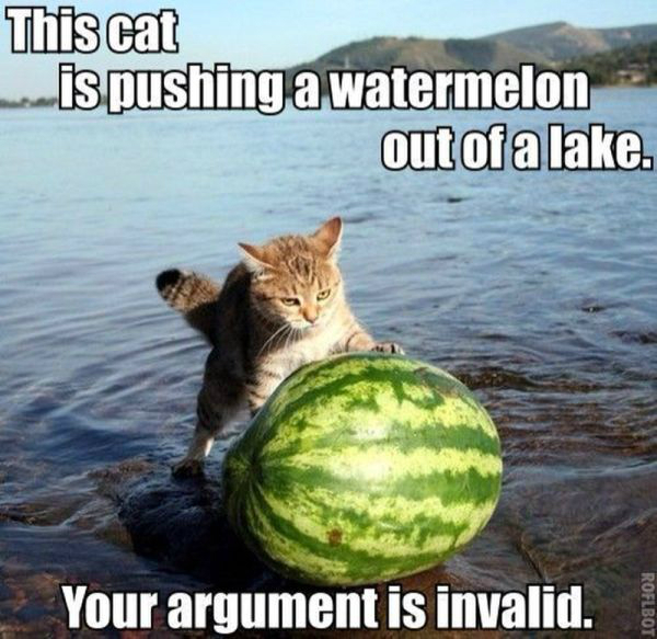 600px-cat-watermelon-lake.jpg