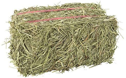 Grandpa'S Best Timothy Hay Bale, 10 Lbs: Amazon.com.au: Pet Supplies