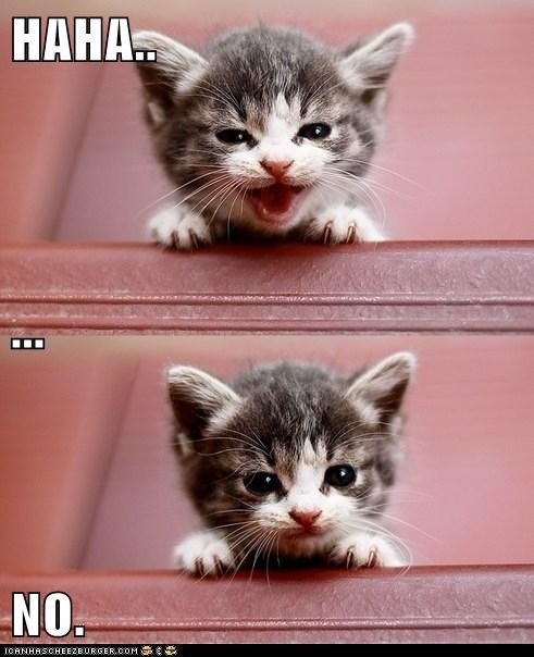 latest?cb=20150727222331