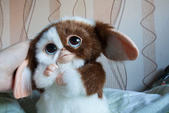 Gizmo Mogwai gremlins | Cute fantasy creatures, Gremlins, Gremlins gizmo