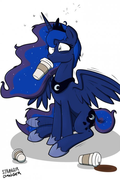 Image result for mlp coffee