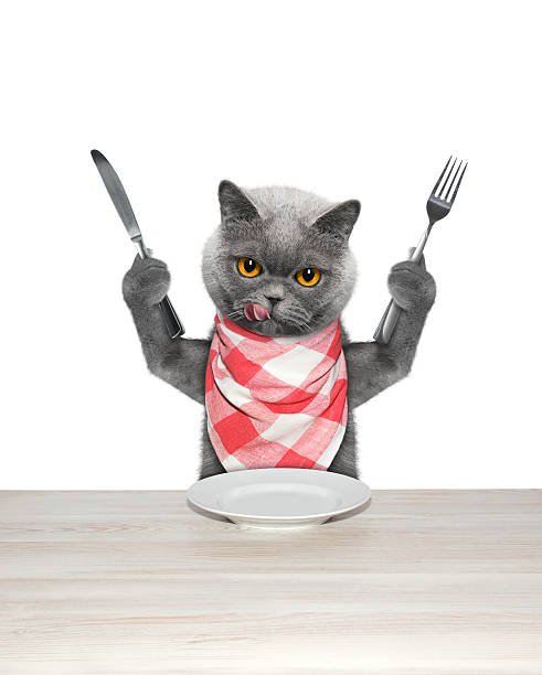 cat-finished-to-eat-and-hold-knife-and-f