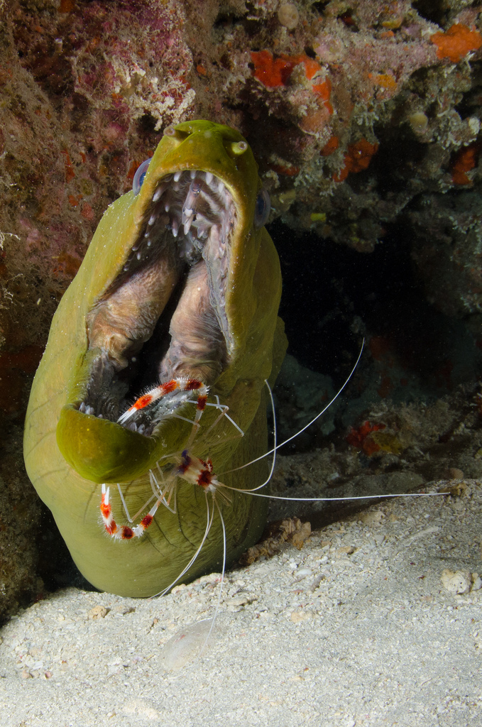 Now for the Hard to Reach Bits