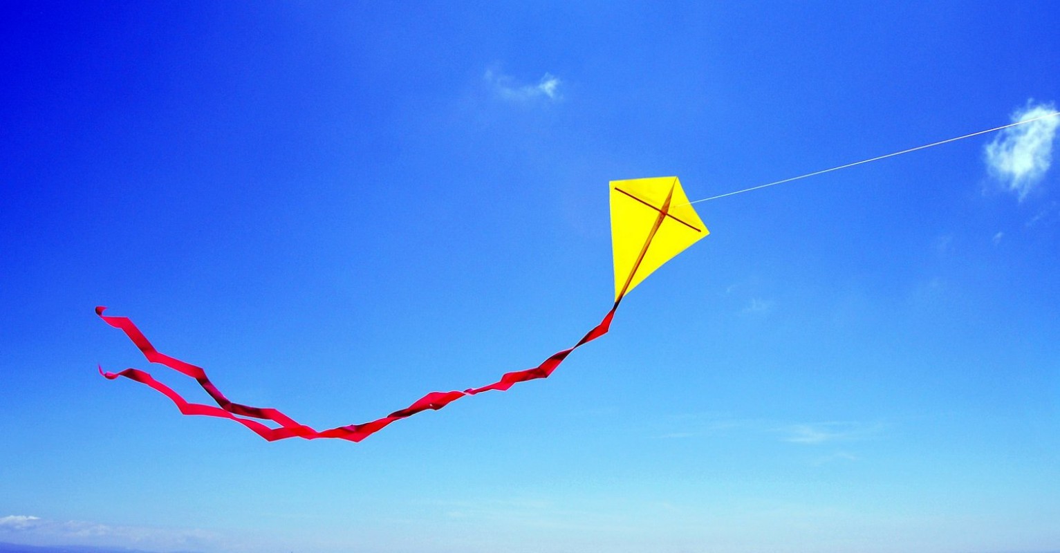 Image result for kite