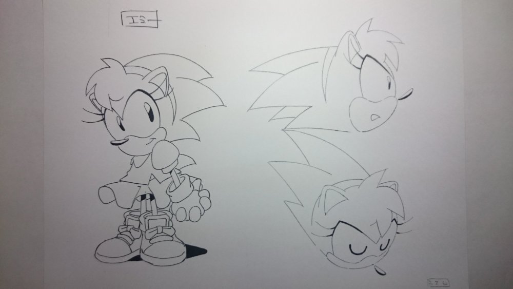 Which design of Amy Rose do you think is better? - Media Discussion ...