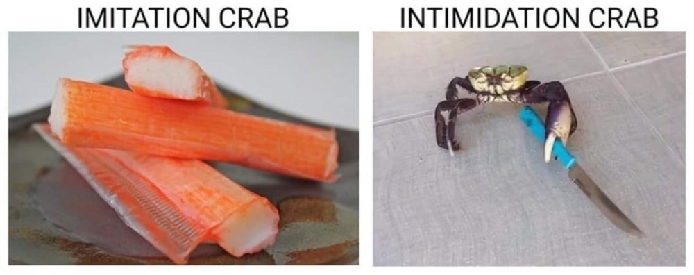 Image may contain: possible text that says 'IMITATION CRAB INTIMIDATION CRAB'