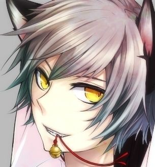 Image result for anime neko boy