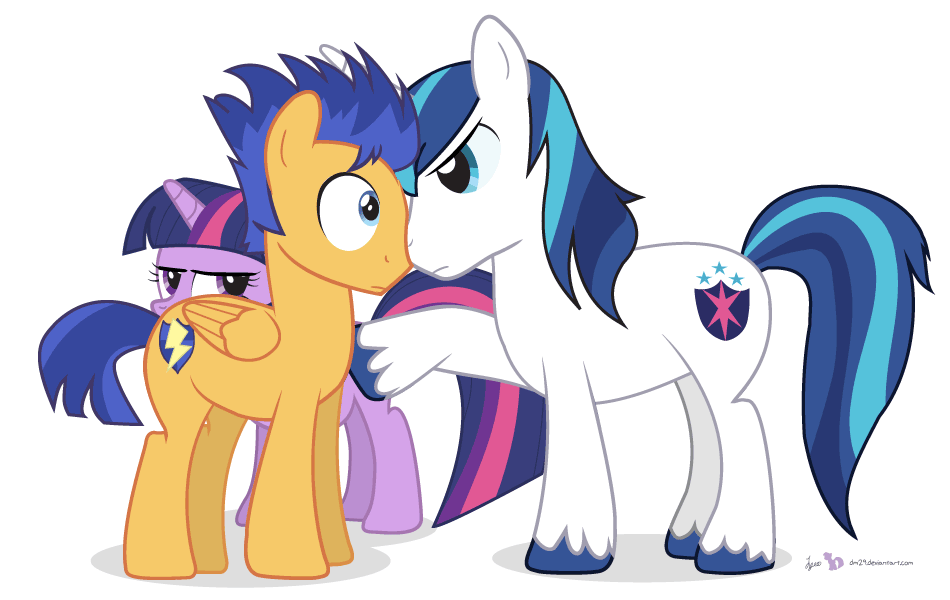 Image result for shining armor does not approve of flash sentry