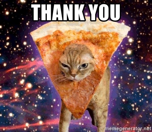 Thank you - pizza cat | Meme Generator