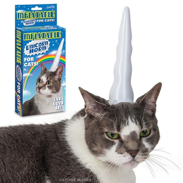 inflatable-unicorn-forcats_700x.jpg?v=15