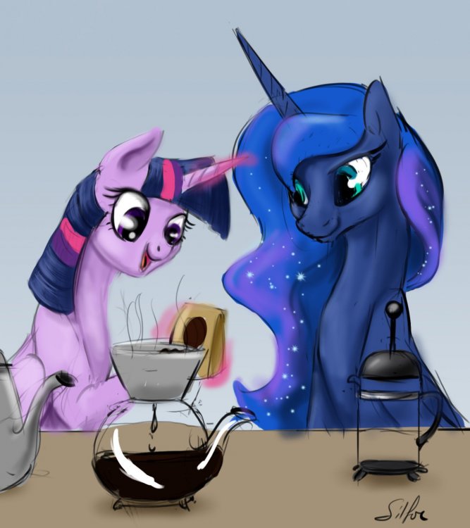 825701__safe_twilight-sparkle_princess-l