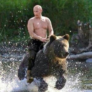 Image result for putin riding a bear