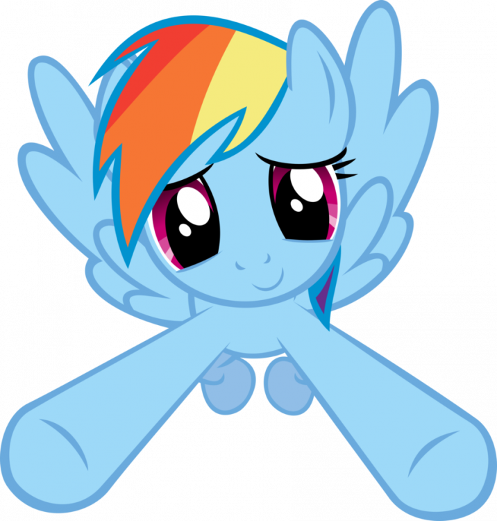 Image result for My little pony rainbow dash hugs
