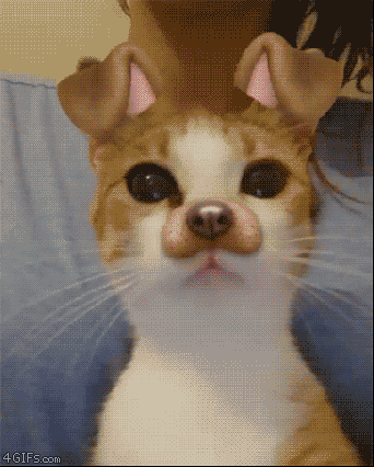 848dc07d65b74375ec1f09a9ad8dbbd9.gif