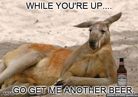 Drunk Kangaroo - Imgflip