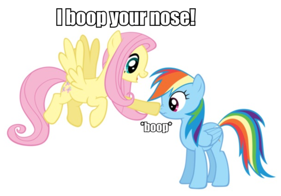 I used to do that all the time. *boop* | My little pony friendship, Rainbow  dash, My little pony