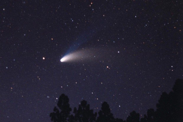 Comet-Hale-Bopp-by-Alan-Hale-10d7d34.jpg