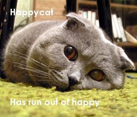 9132972c381665585b51a9b1708e2dc4--silly-